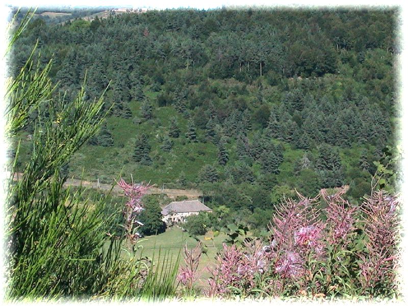 L'environnement de la ferme