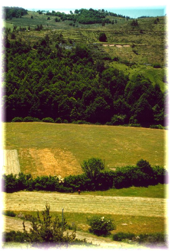 Paysage_sud